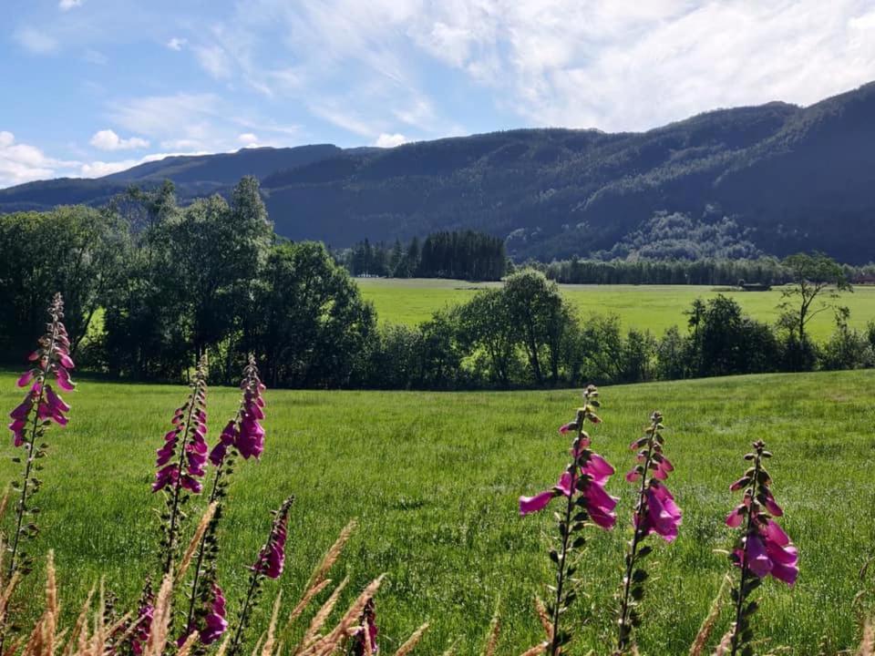 Hotel Vikedal Relax Center Exteriér fotografie